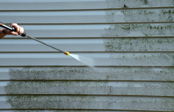 Attic Mold Removal in Biddeford, ME