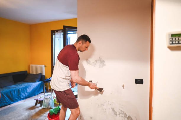 Best Black Mold Removal  in Biddeford, ME